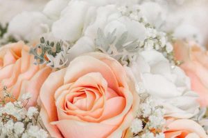 Close up of bouquet with peach and white roses and babies breath flowers.